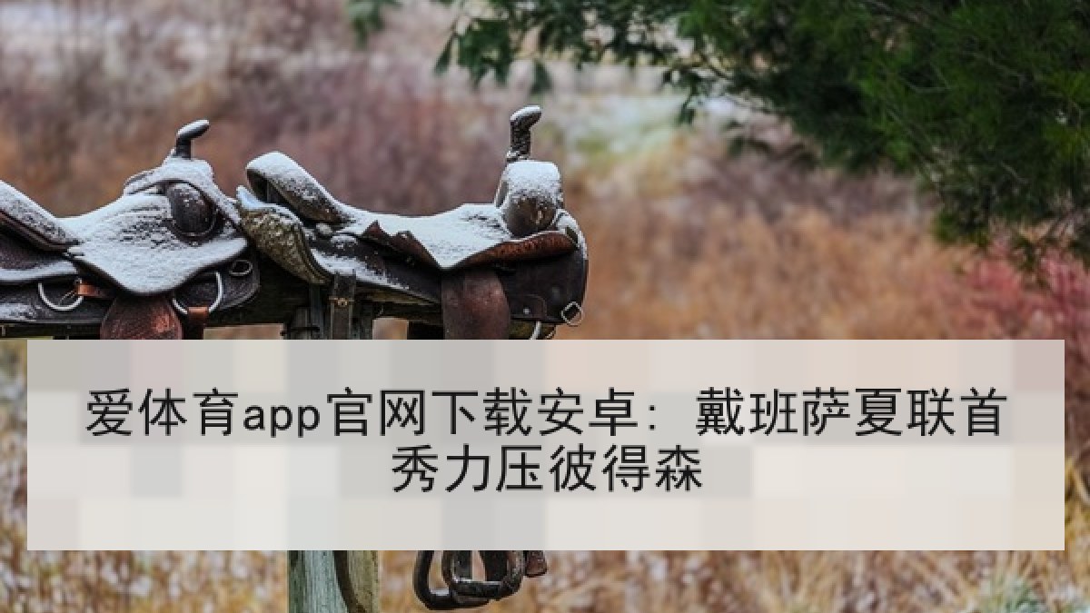 爱体育app官网下载安卓: 戴班萨夏联首秀力压彼得森